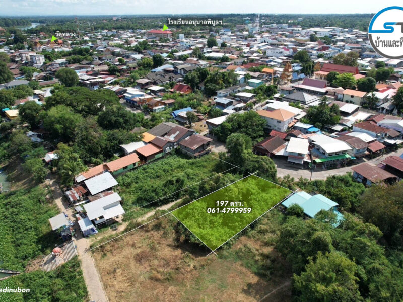ที่ดินใกล้แม่น้ำมูล 197 ตรว. ถนนวิพากย์ในเมืองพิบูล