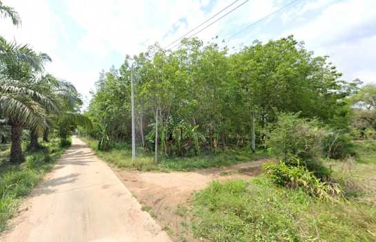 ขาย ที่ดิน ME374 เขตเทศบาล บ่อทอง ชลบุรี บรรยากาศบ้านสวน ติดถนนสาธารณะ ทำเลดี ราคาถูก ขนาด 2 ไร่ 2 งาน 64.2 ตรว ใกล้ตลาดสด เพียง 2 Km