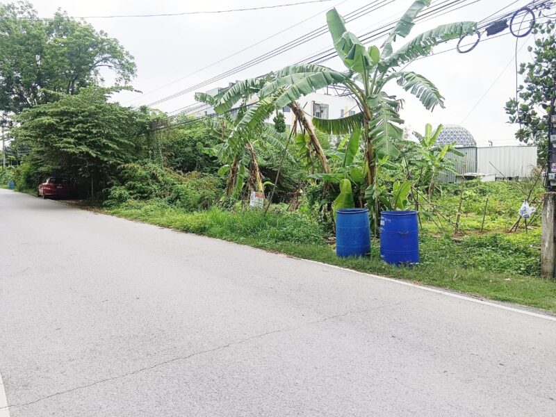 ขายที่ดิน 120 ตรว.ถมแล้ว ซอยคลองสาม 6/5 (ซอยทรัพย์สำราญ) คลองหลวง ปทุมธานี