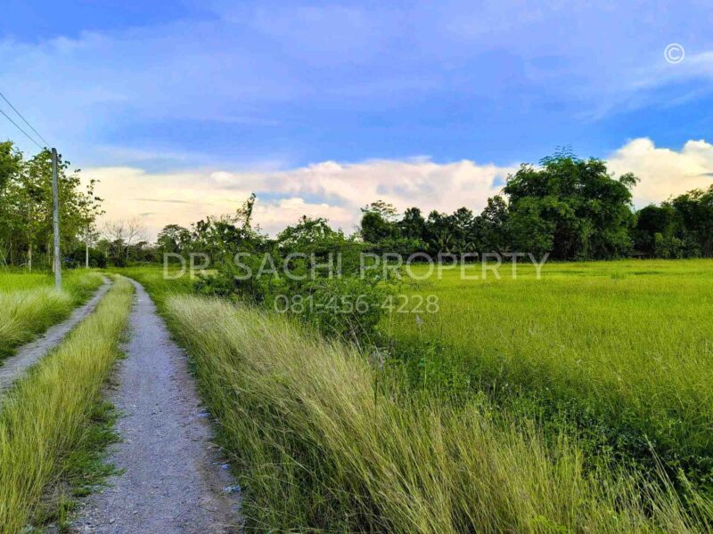 ขายที่ดิน 5-3-66.2 ไร่ ใกล้ศูนย์ราชการ หลังสนามบิน เชียงราย