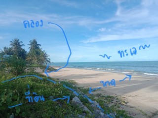 สนใจทักด่วน รับไปเลยส่วนลด จุกๆ เกือบ 2 ล้าน เช่า ขาย ที่ติดทะเล สงขลา ระโนด 1ไร่ 24วา 081-3755244 เหมาะทำรีสอร์ต ร้านอาหาร บ้านพักส่วนตัว