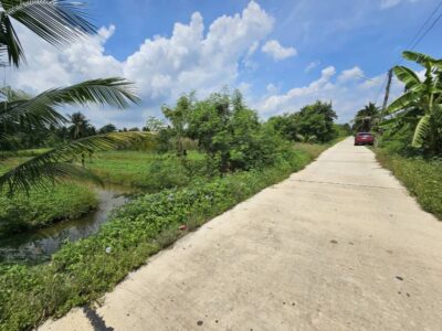 ขายที่ดินเปล่า แปลงสวย ซอยโรงช้อน หนองเสือ ปทุมธานี