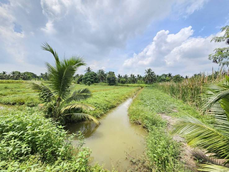 ขายที่ดินเปล่า แปลงสวย ซอยโรงช้อน หนองเสือ ปทุมธานี