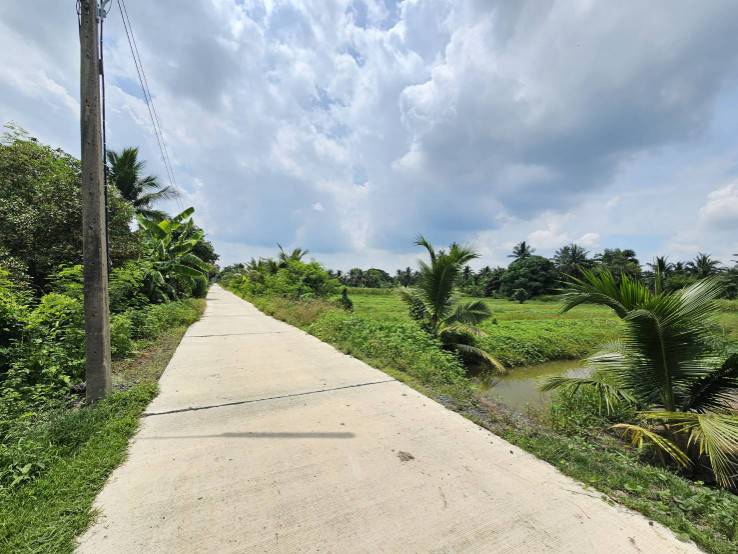 ขายที่ดินเปล่า แปลงสวย ซอยโรงช้อน หนองเสือ ปทุมธานี