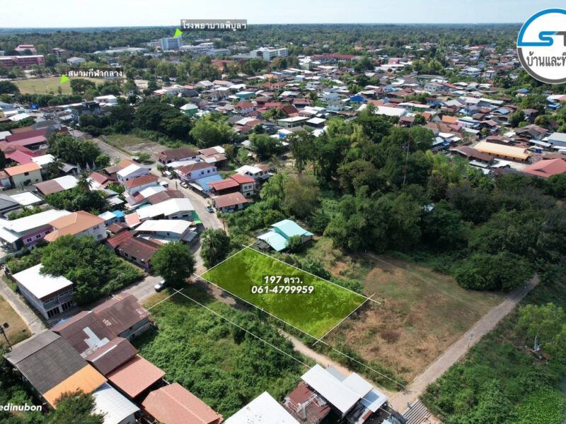 ที่ดินใกล้แม่น้ำมูล 197 ตรว. ถนนวิพากย์ในเมืองพิบูล