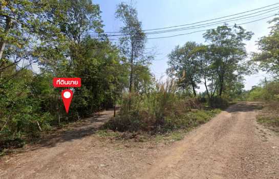 ขายที่ดิน 115 ไร่ บ.สหกรณ์ทุ่งใหม่ ซ.2 ใกล้สถานีไฟฟ้าแรงสูงเชียงใหม่