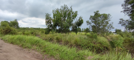 ขาย ที่ดิน 2 ไร่ คลอง 14 หนองเสือ ปทุมธานี ใกล้ถนนเลียบคลอง 14 เจ้าของขายเอง