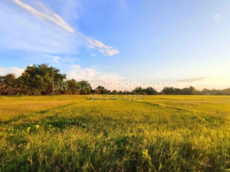 ขายที่ดิน 5-3-66.2 ไร่ ใกล้ศูนย์ราชการ หลังสนามบิน เชียงราย