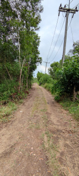 ขาย ที่ดิน 2 ไร่ คลอง 14 หนองเสือ ปทุมธานี ใกล้ถนนเลียบคลอง 14 เจ้าของขายเอง