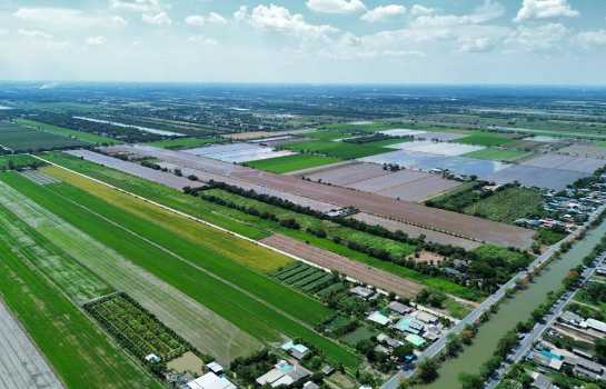 ขาย ที่ดิน คลอง 11 หนองเสือ รังสิต นครนายก 69 ไร่ 3 งาน 58 ตร.วา แปลงสี่เหลี่ยมสวย เหมาะทำโครงการจัดสรร