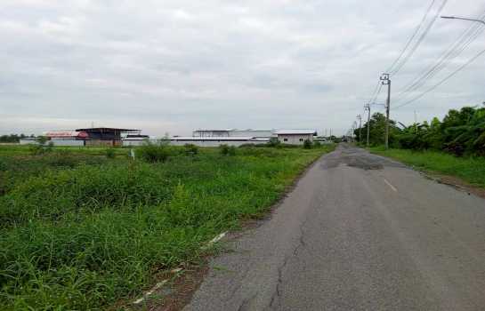 ขายที่ดิน 2 ไร่ ซอยเลียบคลองสิบสามฝั่งตะวันออก 34 ใกล้วัดป่าวิศรุตรัตนาราม