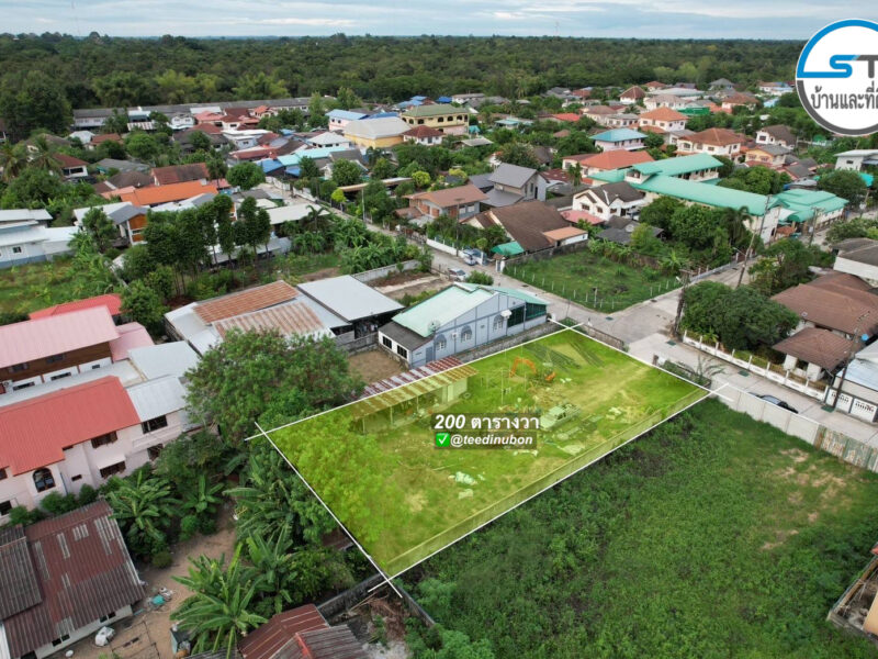 ที่ดินโซนหน้าโรงเรียนลือคำหาญ 200 ตรว.