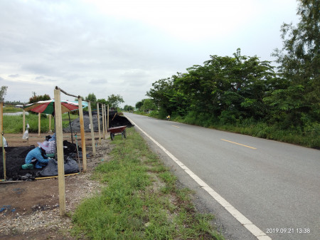 ขาย ที่ดิน 2 ไร่ คลอง 14 หนองเสือ ปทุมธานี ใกล้ถนนเลียบคลอง 14 เจ้าของขายเอง