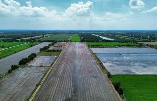 ขาย ที่ดิน คลอง 11 หนองเสือ รังสิต นครนายก 69 ไร่ 3 งาน 58 ตร.วา แปลงสี่เหลี่ยมสวย เหมาะทำโครงการจัดสรร