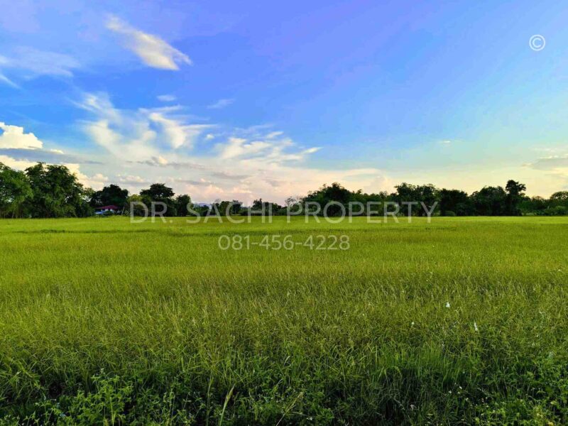 ขายที่ดิน 5-3-66.2 ไร่ ใกล้ศูนย์ราชการ หลังสนามบิน เชียงราย