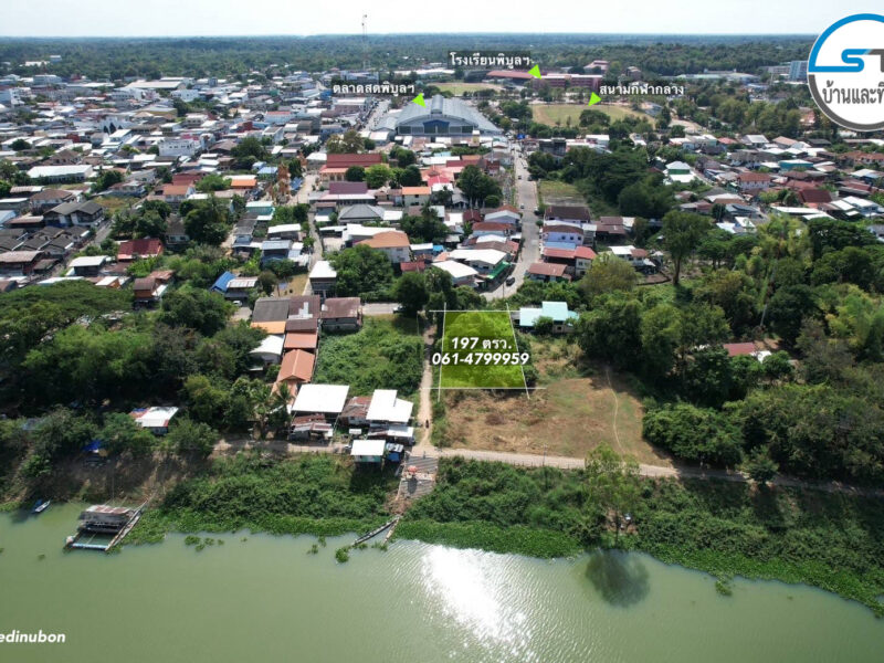 ที่ดินใกล้แม่น้ำมูล 197 ตรว. ถนนวิพากย์ในเมืองพิบูล