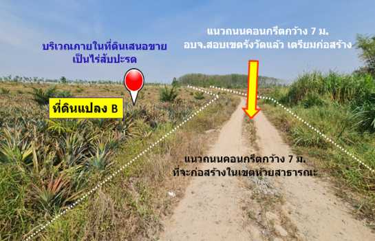 ขาย ที่ดิน เขตพัฒนาพิเศษภาคตะวันออก EEC จ.ระยอง ต.มาบยางพร อ.ปลวกแดง 80 ไร่ 1 งาน 17.5 ตรว ผังเมืองสีม่วงลาย ประเภทพัฒนาอุตสาหกรรม.