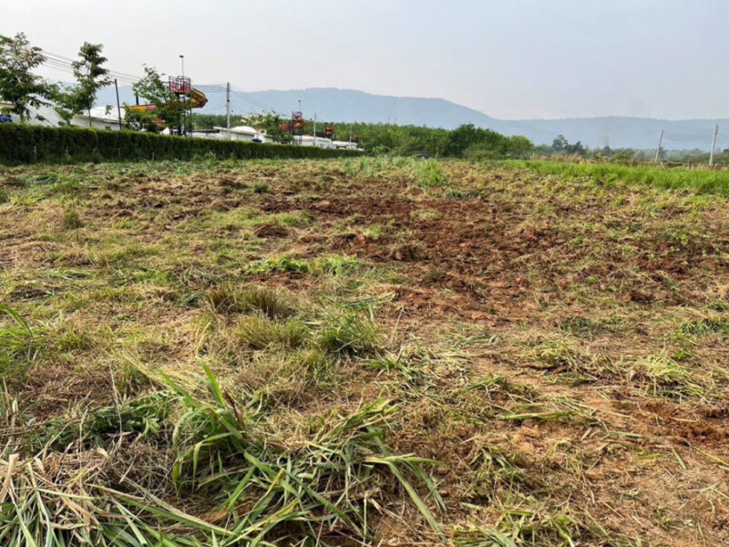 ขาย ที่ดิน เขาใหญ่B Valley Khaoyai 200 ตร.วา ถมแล้ว วิวภูเขา เหมาะสร้างบ้าน พูลวิลล่า