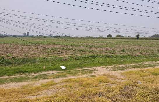 ขาย ที่ดิน ME372 แปลงใหญ่ ทำเลดี ติดถนน 331 หนองอิรุณ บ้านบึง ชลบุรี . 179 ไร่ 39 ตรว ใกล้นิคมโรจนะหนองใหญ่ ท่าเรือแหลมฉบัง เพียง 50 Km.