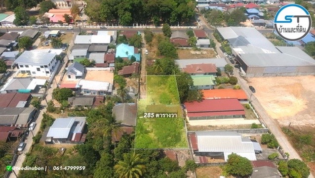 ที่ดินบ้านนิคม (หัวสนามบิน) 285 ตรว. ใกล้ห้วยวังนอง