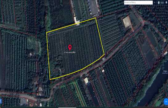 ขายที่ดินเนื้อที่ 10 ไร่ บ้านหัวอ่าว อ.สามพราน จ.นครปฐม เหมาะสร้างบ้านและทำสวนการเกษตร