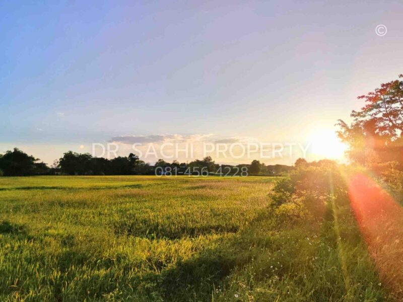 ขายที่ดิน 5-3-66.2 ไร่ ใกล้ศูนย์ราชการ หลังสนามบิน เชียงราย