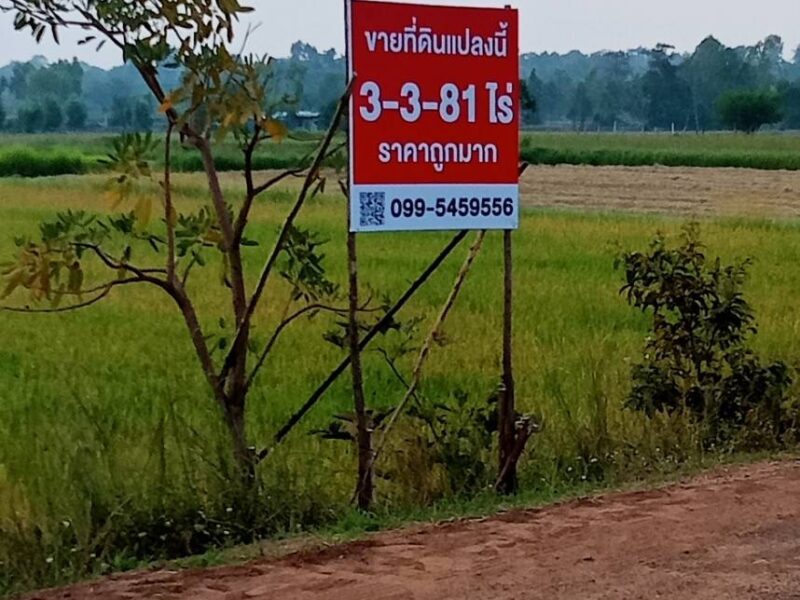 ขายที่ดินร้อยเอ็ด 3 ไร่กว่า ทำเลทอง ใกล้เมือง ราคาโดนใจ!