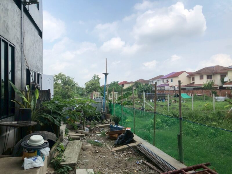 ขายที่ดินเปล่า 102 ตร.วา ยังไม่ถม ซอยสุขาประชาสรรค์ 3 ซอย 21 ใกล้แยกสวนสมเด็จ ปากเกร็ด นนทบุรี ราคา 2.1 ล้าน‼️