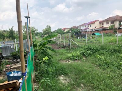 ขายที่ดินเปล่า 102 ตร.วา ยังไม่ถม ซอยสุขาประชาสรรค์ 3 ซอย 21 ใกล้แยกสวนสมเด็จ ปากเกร็ด นนทบุรี ราคา 2.1 ล้าน‼️
