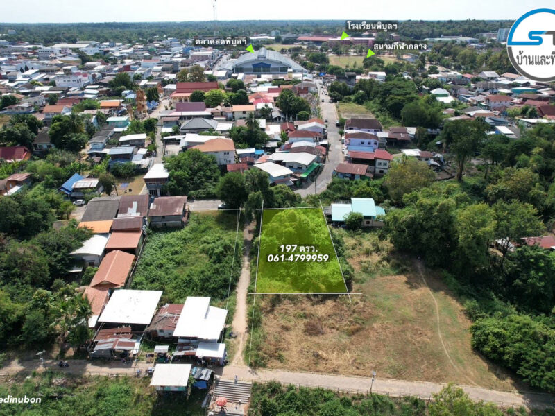 ที่ดินใกล้แม่น้ำมูล 197 ตรว. ถนนวิพากย์ในเมืองพิบูล
