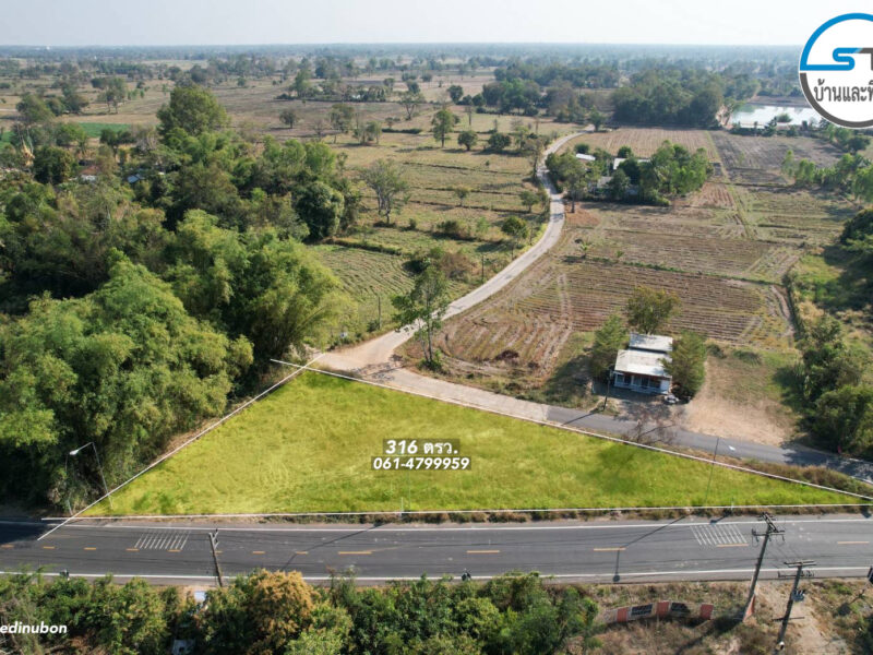 ที่ดินโซน ม.อุบล 316 ตรว. หน้ากว้างติดลาดยาง 78 เมตร