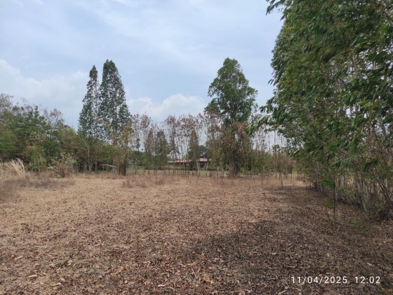 🌳✨ ขายที่ดินวิวภูเขา 5 ไร่ 3 งาน 5 ตร.วา ✨🌳 📍 ต.ห้วยยางโทน อ.ปากท่อ จ.ราชบุรี 💥 ราคาพิเศษเพียง 3,000,000 บาท 💥 (เจ้าของขายเอง | ค่าโอนคนละครึ่ง)