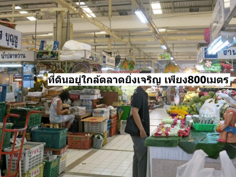ขายที่ดิน พหลโยธิน48 ซอยต้นๆ อยู่ใกล้ ถนนใหญ่พหลโยธิน และ สถานีรถไฟฟ้าสายหยุด