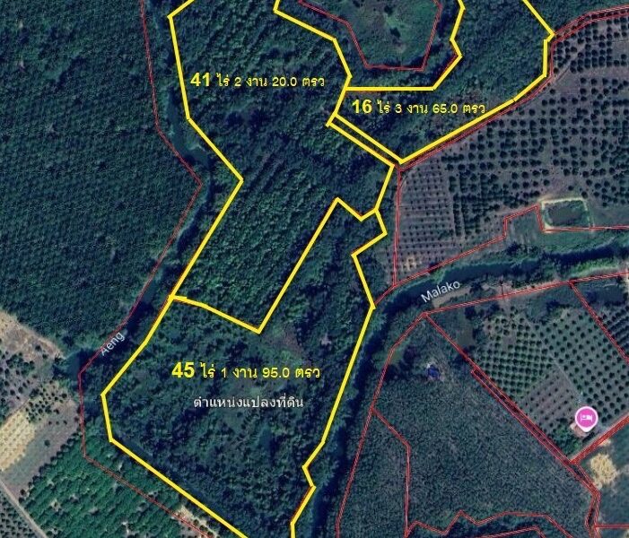 ขายที่ดินแปลงใหญ่ 103 ไร่ บรรยากาศดี ราคาถูกสุดในย่านนี้! โฉนดพร้อมโอน