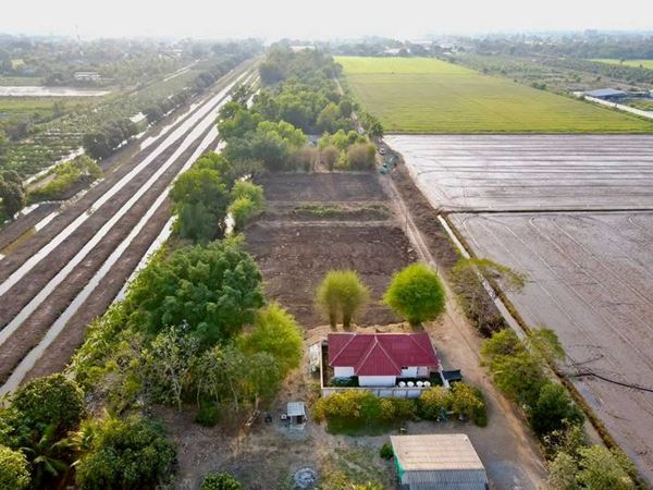 ที่ถมแล้ว-น้ำไฟครบ-สวยถูกดีวิวชายทุ่ง หลังแปลงติดน้ำที่คลอง10-หนองเสือ T.062-1574449