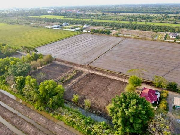 ที่ถมแล้ว-น้ำไฟครบ-สวยถูกดีวิวชายทุ่ง หลังแปลงติดน้ำที่คลอง10-หนองเสือ T.062-1574449