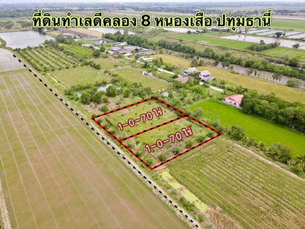 ที่ดินเหมาะซื้อเก็บ-ใกล้เส้นรังสิตนครนายกหลังอบต คลอง8 ปทุมธานี.T.062-1574449