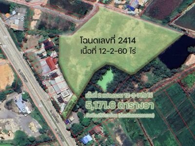 ขายที่ดินติดถนน 3 ด้าน 12-3-71 ไร่ ทำเลศักยภาพ ติดถนนศุขประยูร พนัสนิคม ชลบุรี โทร 0818213624
