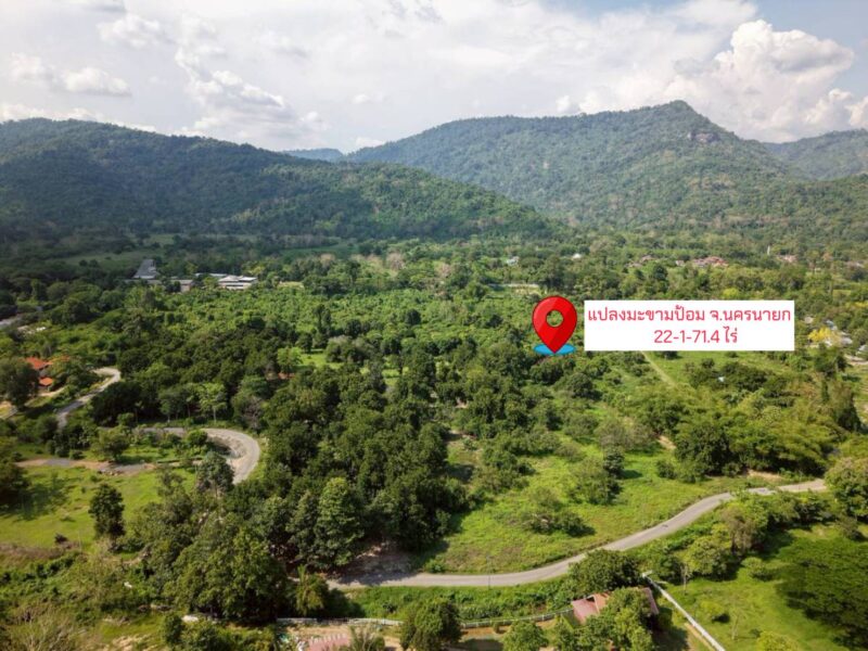 ขายที่ดิน 22-1-71.4 ไร่ ซอยมะขามป้อม ต.สาริกา อ.เมือง จ.นครนายก