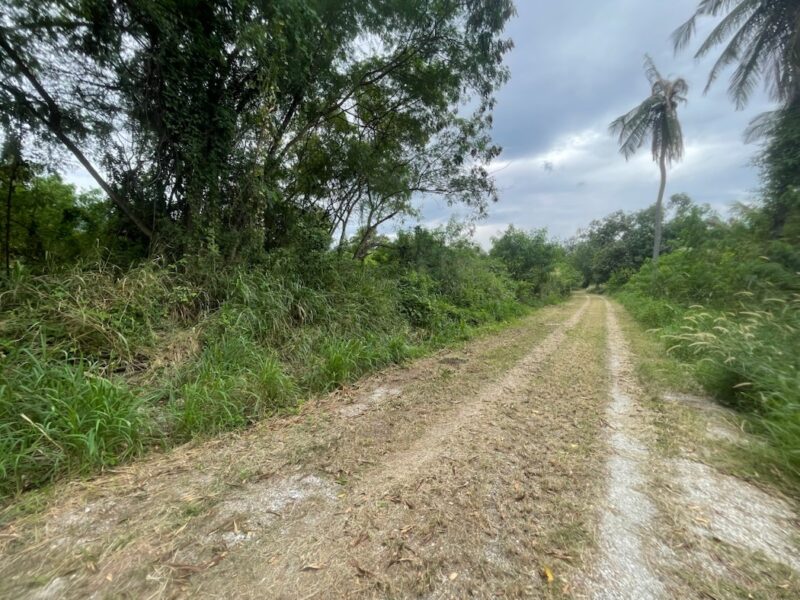 ขาย ที่ดิน EECติดมอเตอร์เวย์ เมืองชลบุรี หนองข้างคอก 13 ไร่ 1 งาน 78 ตร.วา เข้าออกมอเตอร์เวย์ได้หลายทาง เหมาะทำโรงงาน โกดังสินค้า