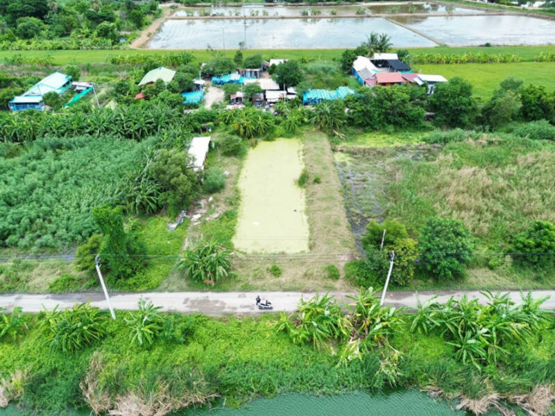 ขาย ที่ดิน ซอยวัดสุขใจ 19 ขนาด 404 ตร.วา แปลงสี่เหลี่ยมสวย มีบ่อน้ำ เหมาะทำบ้านพักอาศัย หรือโกดัง