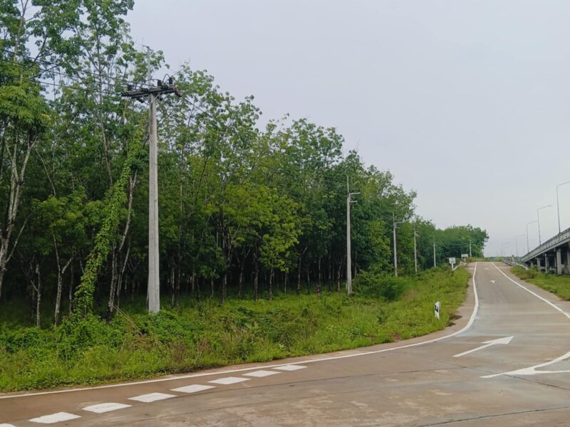 ประกาศขายที่ดิน