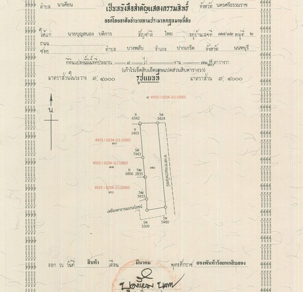 ขายที่ดิน 3 โฉนด