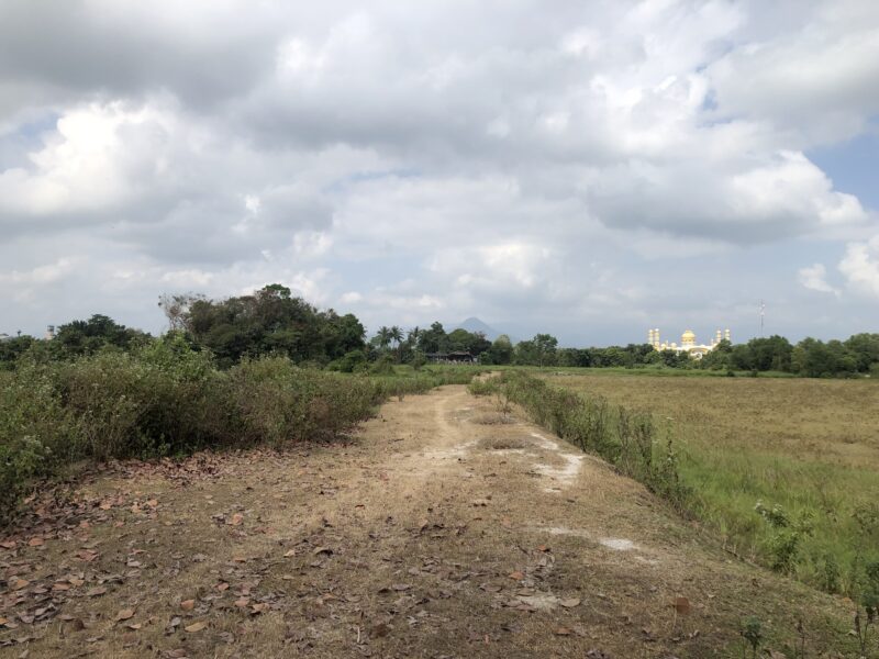 ขายที่ดิน 3 โฉนด