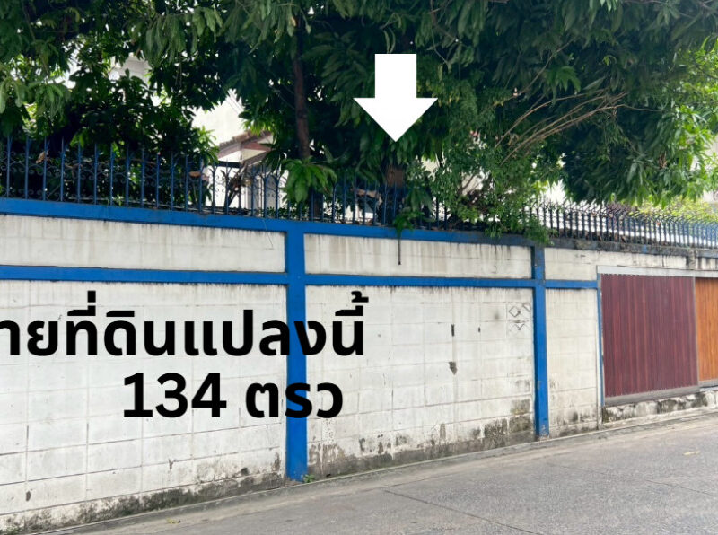 ขาย ที่ดิน พร้อมสิ่งปลูกสร้าง รัชดาภิเษก 134 ตรว แปลงสวยใจกลางเมือง รัชดาซอย 7 ติดบิ๊กซี เพลส รัชดาภิเษก, กรุงเทพมหานคร