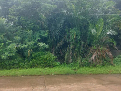 ขายที่ดิน 200 ตร.ว. หมู่บ้านเอื้อสุข พัฒนาการ 58 ซอย 6 ใกล้ถนนศรีนครินทร์
