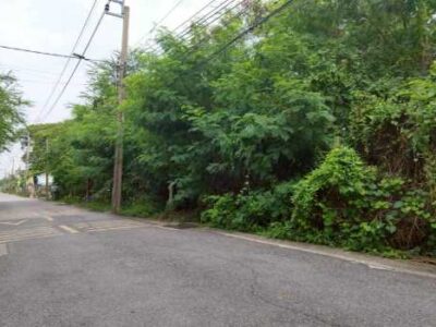 ขายที่ดิน 184 ตร.ว. ซ.คู้บอน 13 ตรงข้ามทิพย์ทอง อพาร์ทเมนท์ ใกล้ถนนคู้บอน