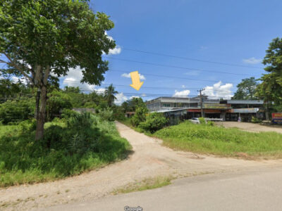 ขาย ที่ดิน ท่าแซะ ชุมพร ใกล้ถนนเพชรเกษม 17 ไร่ 1 งาน 34 ตร.วา เหมาะทำจัดสรร รีสอร์ท สวนผลไม้ สถานที่ท่องเที่ยว