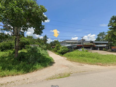 ขาย ที่ดิน ท่าแซะ ชุมพร ใกล้ถนนเพชรเกษม 17 ไร่ 1 งาน 34 ตร.วา เหมาะทำจัดสรร รีสอร์ท สวนผลไม้ สถานที่ท่องเที่ยว