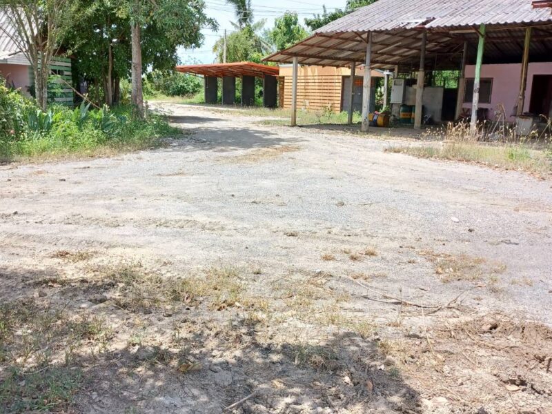 ขายที่ดิน 28 ไร่ 30ล้าน สันป่าตอง(เชียงใหม่)